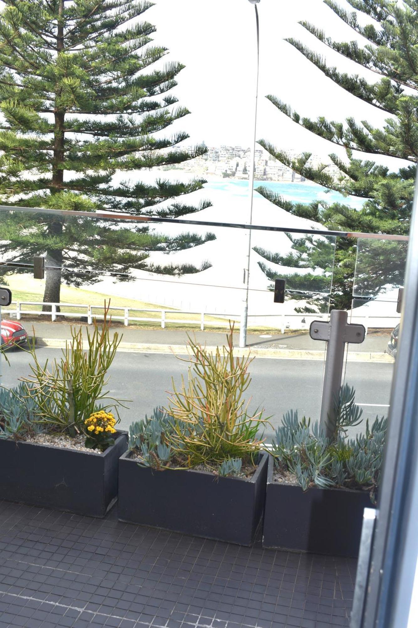 Bondi 38 Serviced Apartments Sydney Exterior foto